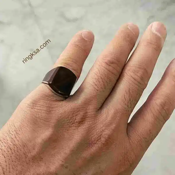 Brown silver men's ring